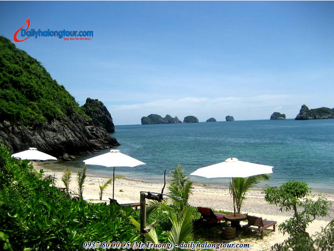 Building science and ingenious Ha Long Bay 2 days 1 night tours are the advantage of dailyhalongtour